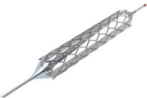 Stent on a Balloon Catheter
