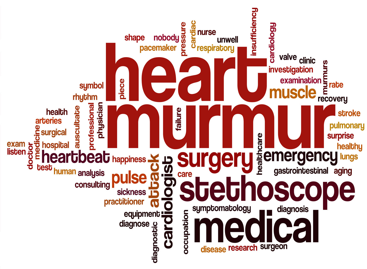 Child heart exam